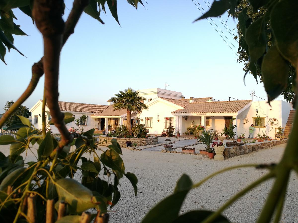 Hotel Casa Fina - Adults Recommended Conil De La Frontera Exteriér fotografie